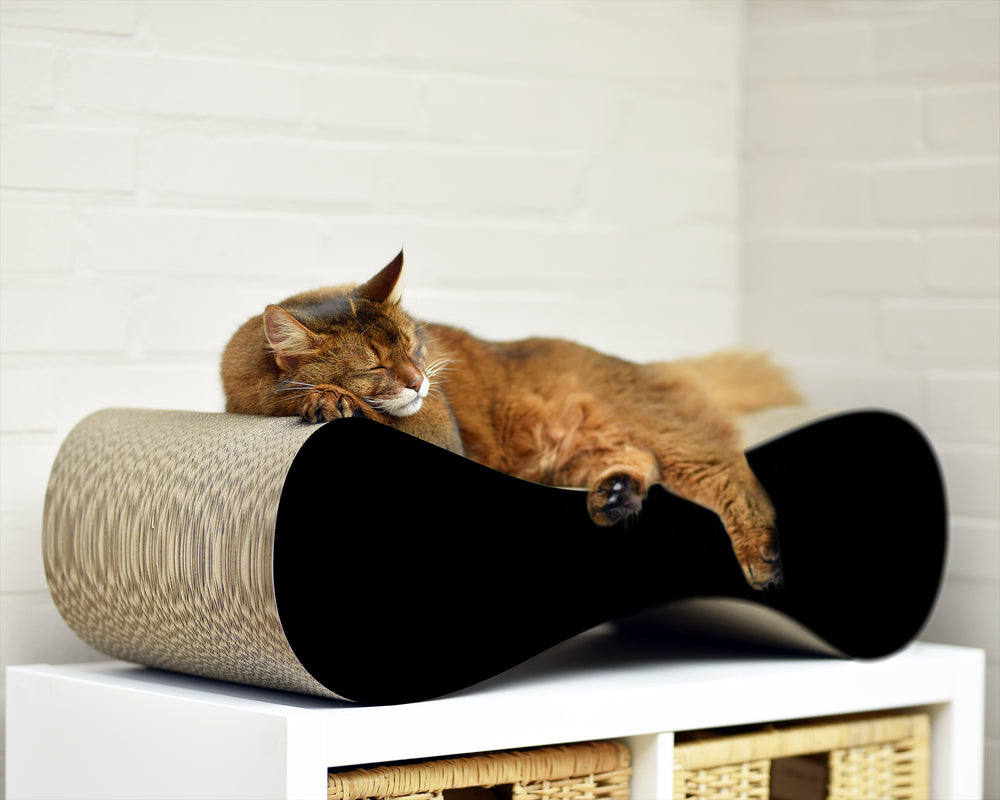 schwarz matt (013x) - Bild 1