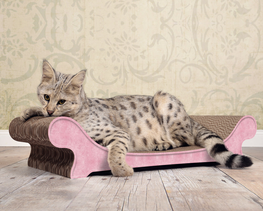 hellrosa (205) - Bild 1