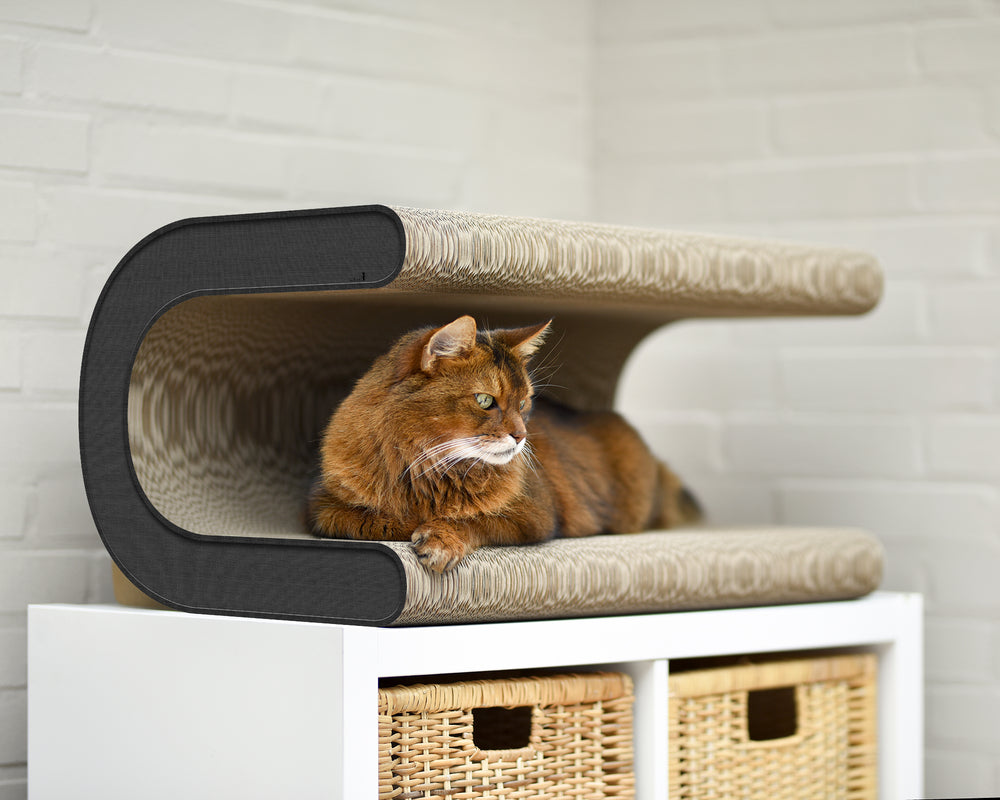 anthrazit (013h) - Bild 1