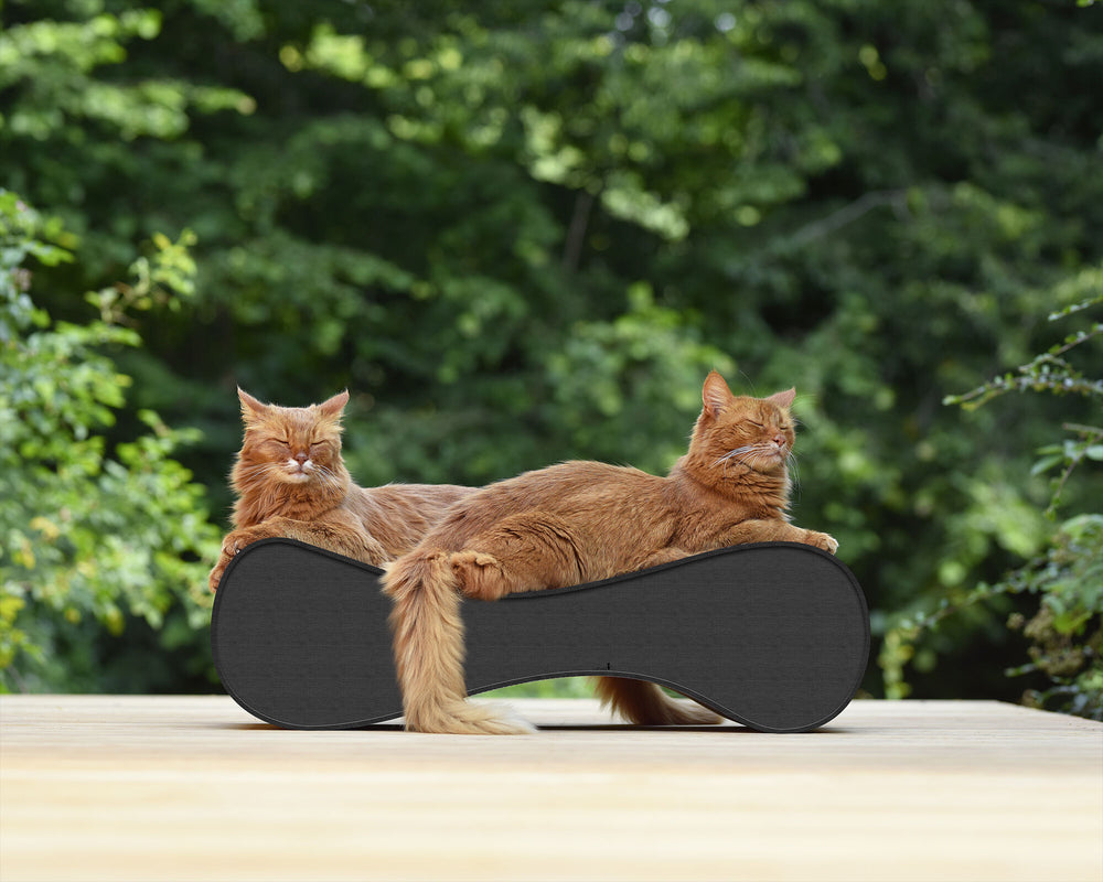 anthrazit (013h) - Bild 4