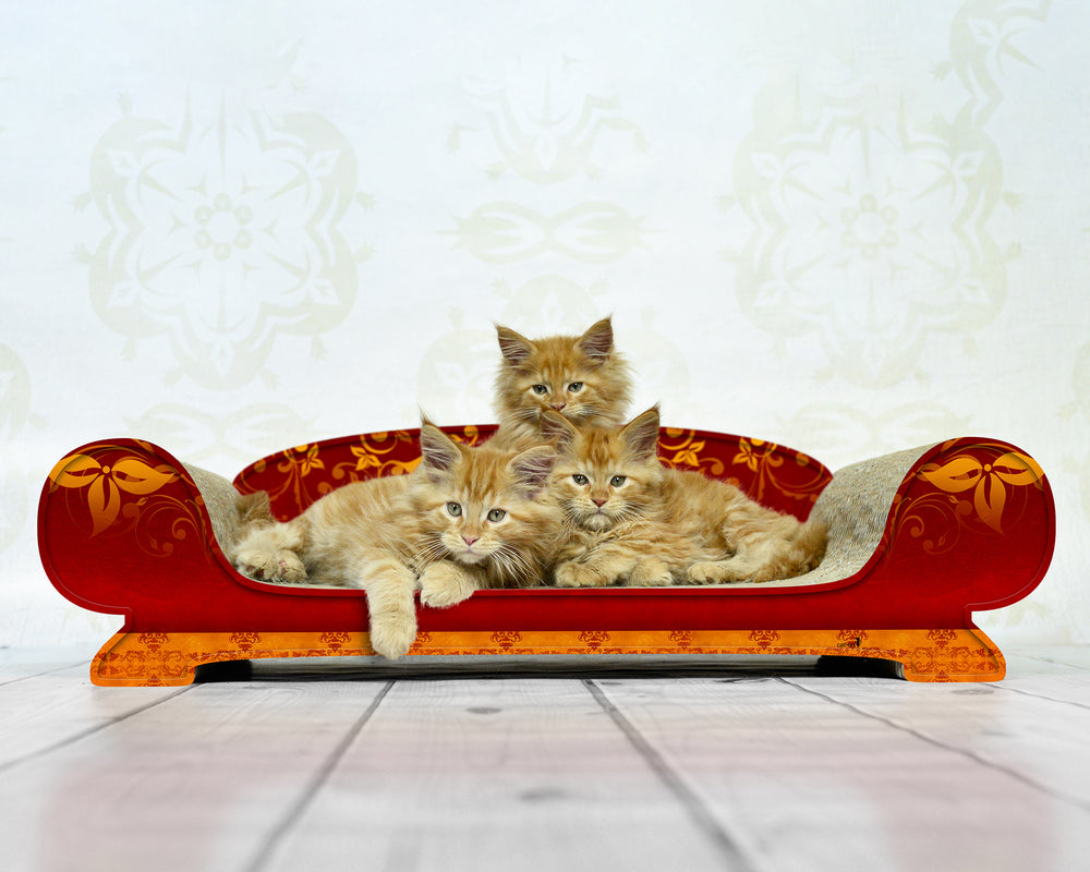 élégance (030) - Bild 1