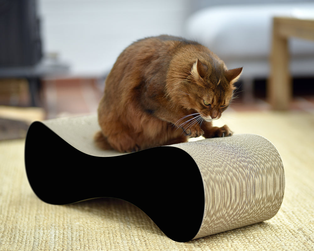 schwarz matt (013x) - Bild 1