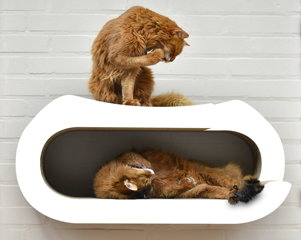 weiß,  gestrichen (000x) - Bild 1