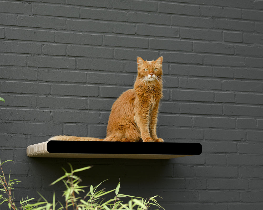 schwarz matt (013x) - Bild 2