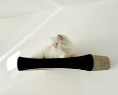 schwarz matt (013x) - Bild 1