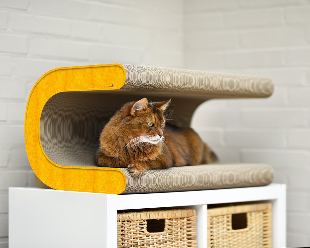 dunkelgelb (004e) - Bild 1