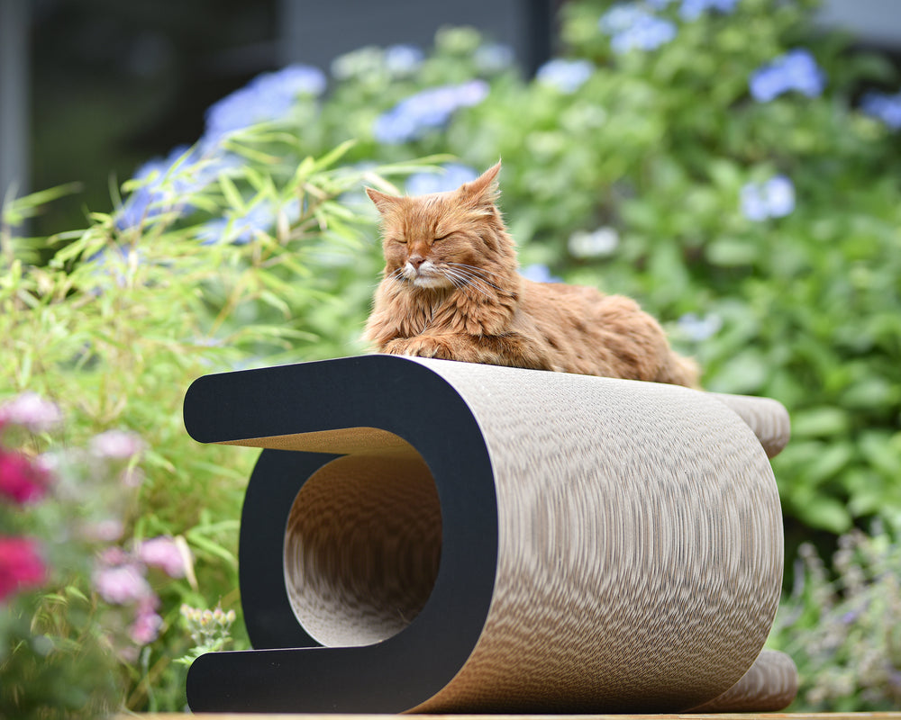 schwarz matt (013x) - Bild 1