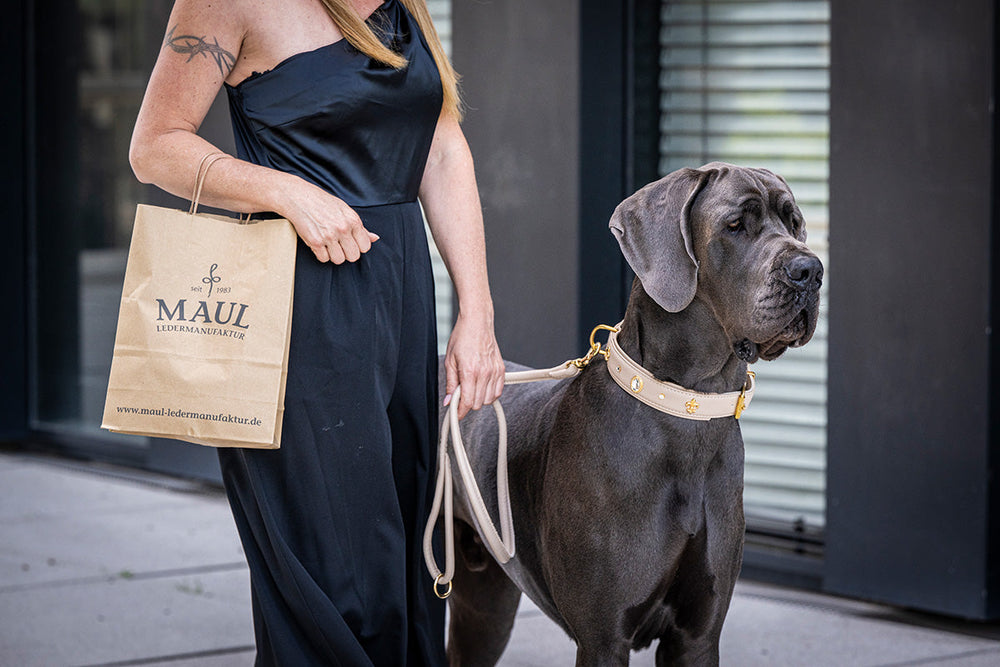 Frau in schwarzem Kleid mit Tasche und Dogge in städtischer Umgebung, die an einem Halsband mit Diamanten befestigt ist.