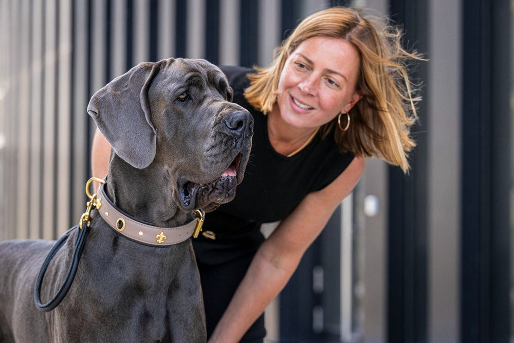 Frau mit braunen Haaren lächelt neben großem grauen Hund und trägt ein Halsband Diamond.