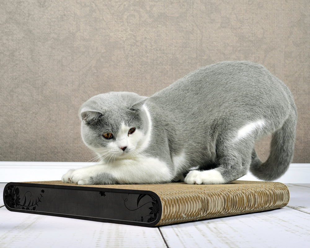 schwarz, schwarze Blumen (013b) - Bild 3