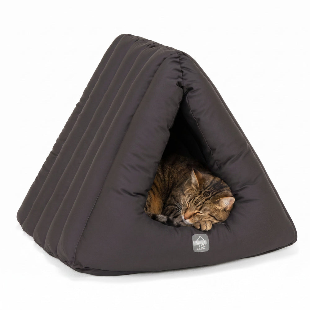 Entspannte Katze in grauem, gepolstertem Katzenkorb in Pyramidenform, perfekt für gemütliche Ruhepausen.