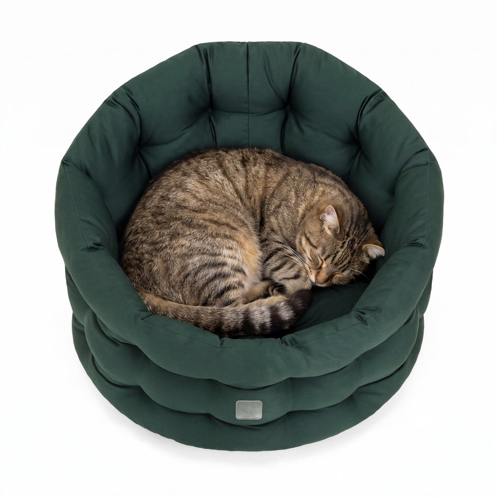 Rundes, gepolstertes Katzenbett in Dunkelgrün mit schlafender, getigerter Katze in gekringelter Position.