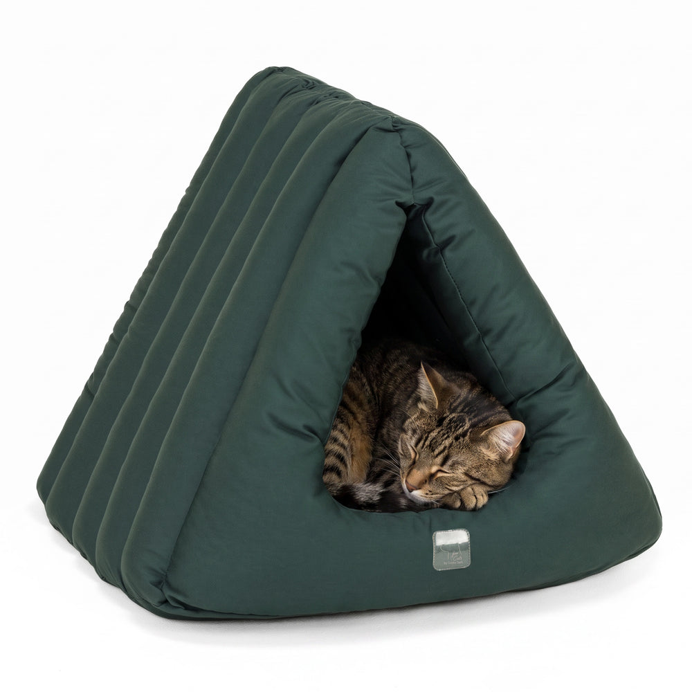 Katzenhöhle Deluxe: Grünes, katzenförmiges Schlafzelt mit schlafender Katze in der Öffnung. Ideal für Entspannung und Komfort.