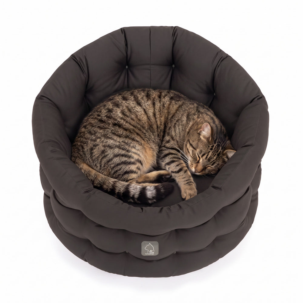 Rundes, dunkelbraunes Katzenbett mit einer getigerten Katze, die entspannt darin schläft. Ideal für süße Träume.