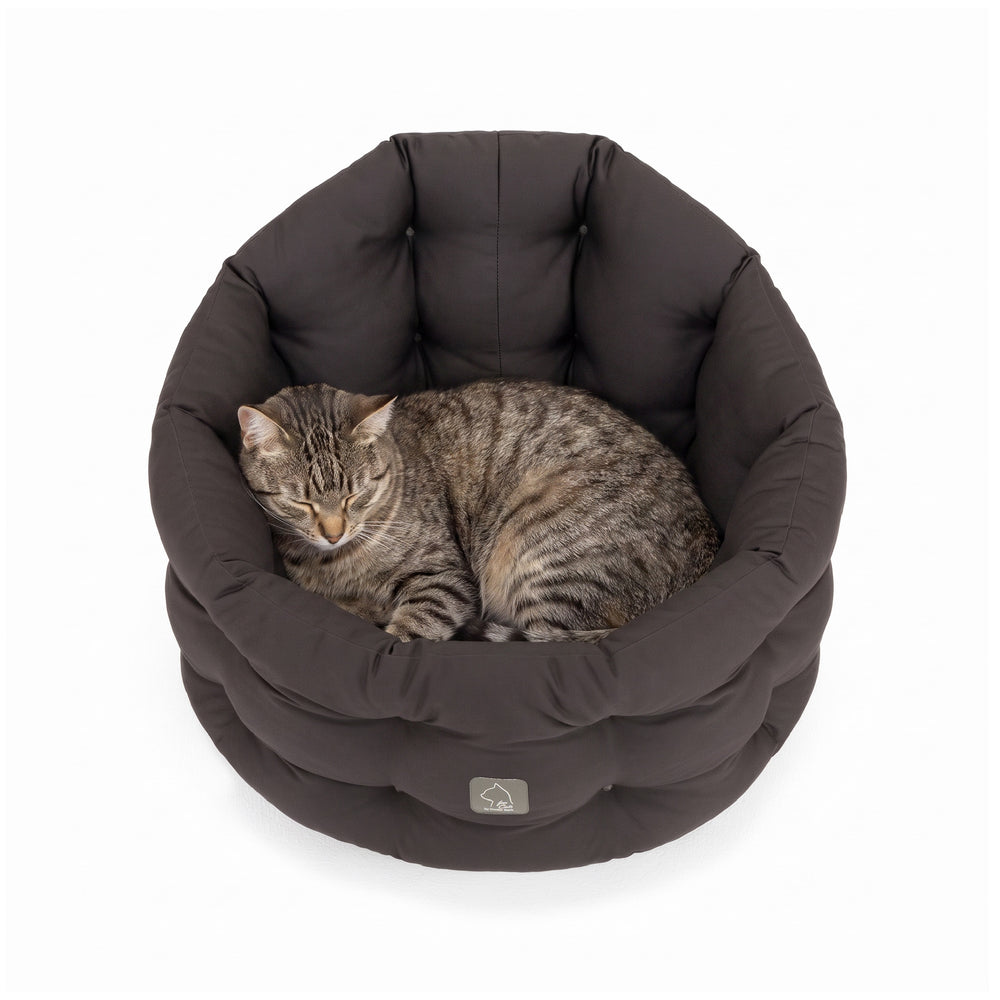 Getigerte Katze entspannt in rundem, schwarzem Katzenbett Deluxe mit gepolsterter Umrandung.
