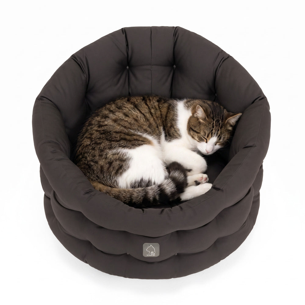 Gemütliches rundes Katzenbett in Dunkel mit schlafender gestreifter Katze, weich gepolstert für optimalen Komfort.