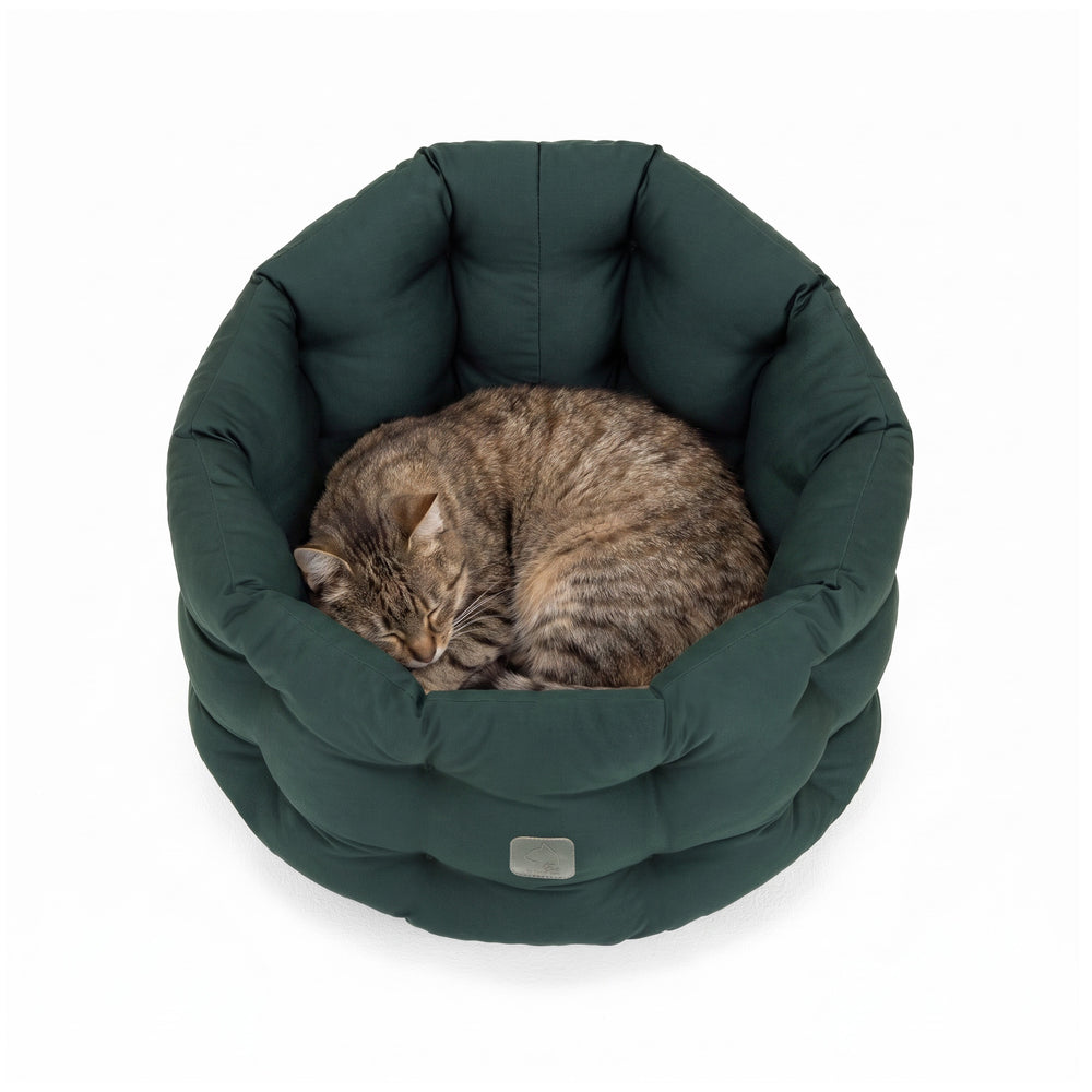 Schlafende Katze im runden, gepolsterten Katzenbett Deluxe in dunklem Grün mit weicher Oberfläche.
