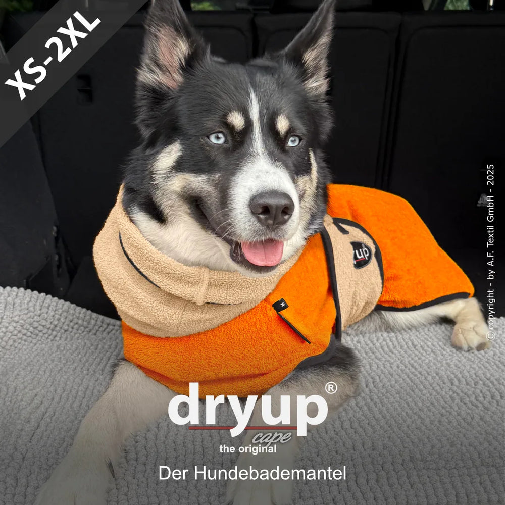 Hund im orangefarbenen Dryup® Bademantel sitzt entspannt im Fahrzeug und genießt den Komfort aus weichem Material.
