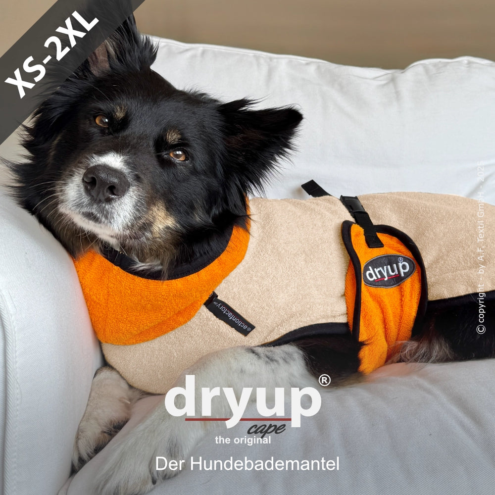 Entspannter Hund im orange-beigen Dryup® Hundebademantel auf einem Sofa.