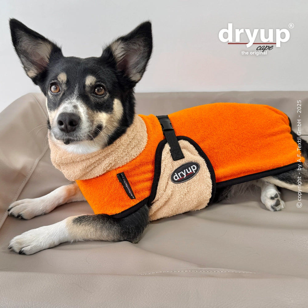 Hund im orange-beigen Dryup® Cape Mini, entspannend auf heller Fläche, idealer Bademantel für Hunde.