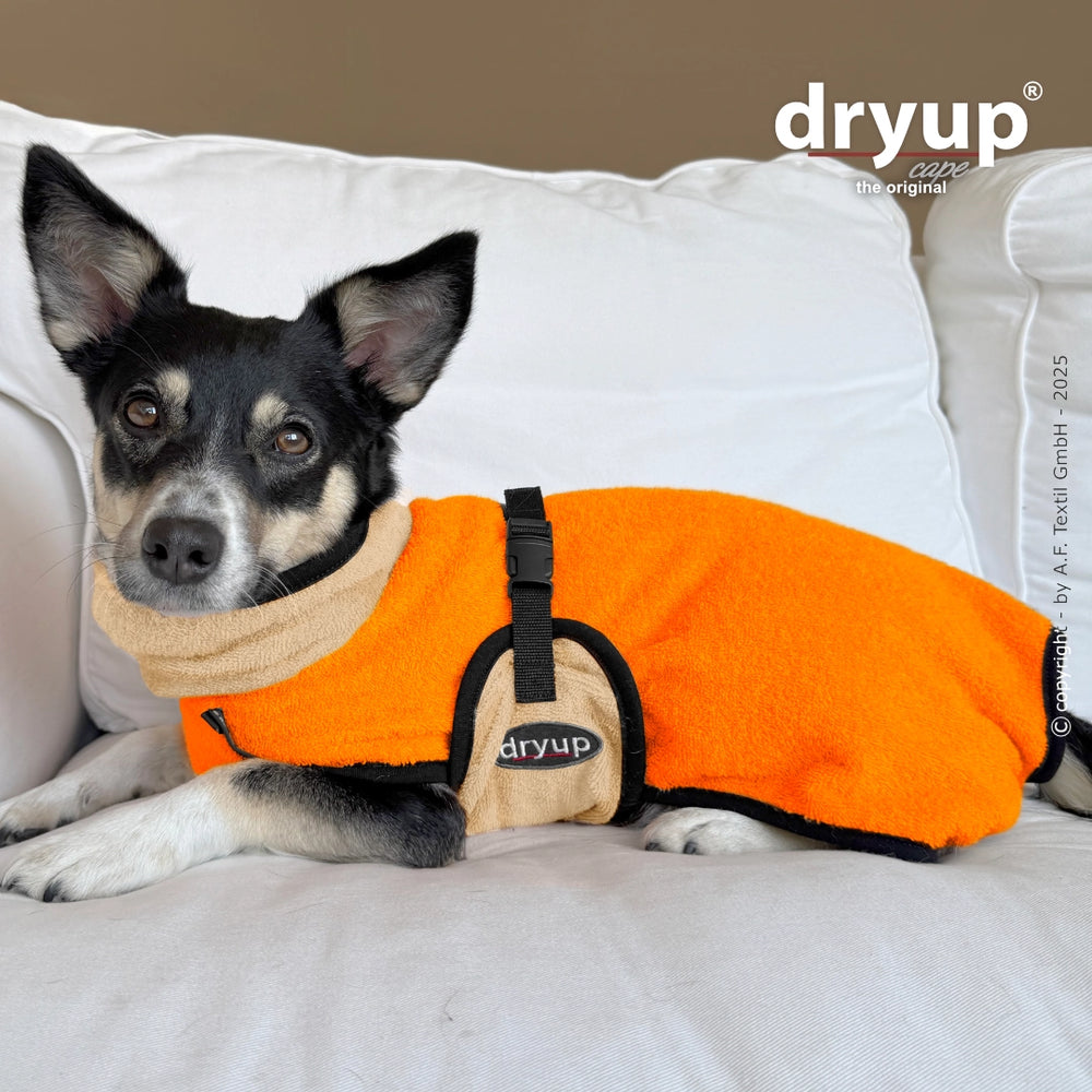 Hund im orangefarbenen Dryup® cape mini mit beigem Kragen, entspannt auf heller Couch. Ideal nach dem Baden!