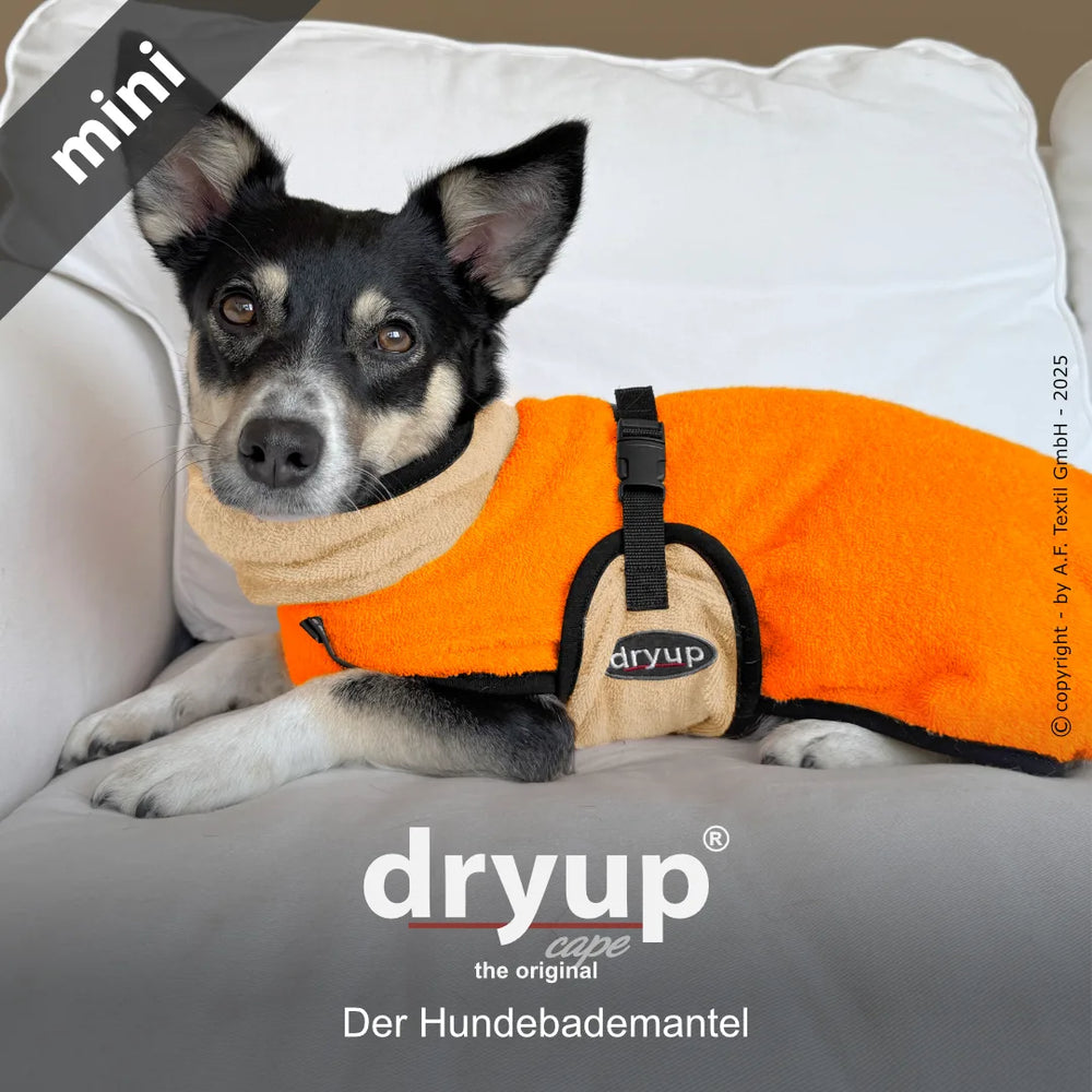 Hund im orangefarbenen Fleece-Bademantel mit beigem Kragen sitzt auf heller Couch und schaut direkt in die Kamera.