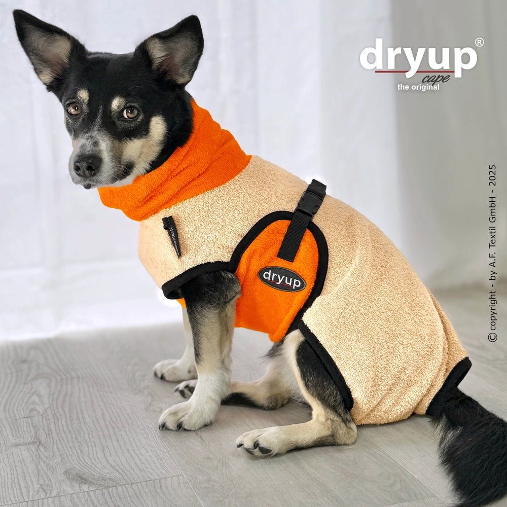 Hund im beigen und orangefarbenen Bademantel von Dryup® cape mini mit hohem Kragen auf hellem Boden.