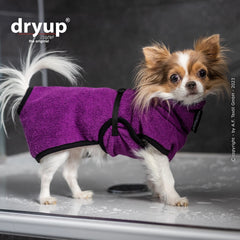 dryup® cape nano - Der original Hundebademantel