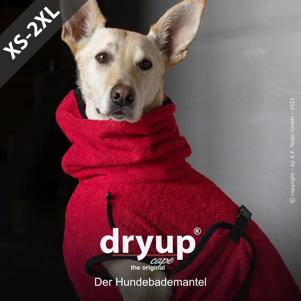 Roter Hundebademantel von Dryup® – Flauschiger Stoff, hoher Kragen, Hund blickt in die Kamera.