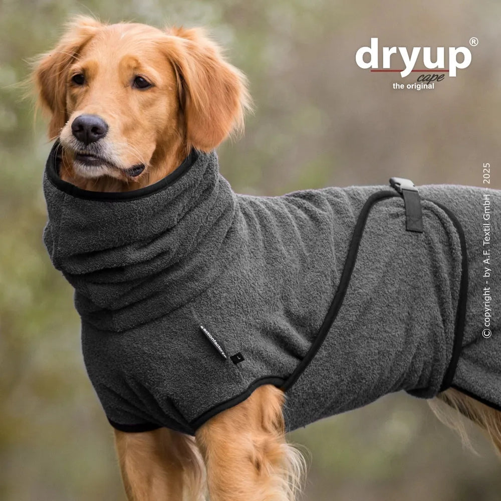 Hund trägt grauen Dryup® Hundebademantel in natürlicher Umgebung mit hohem Kragen.
