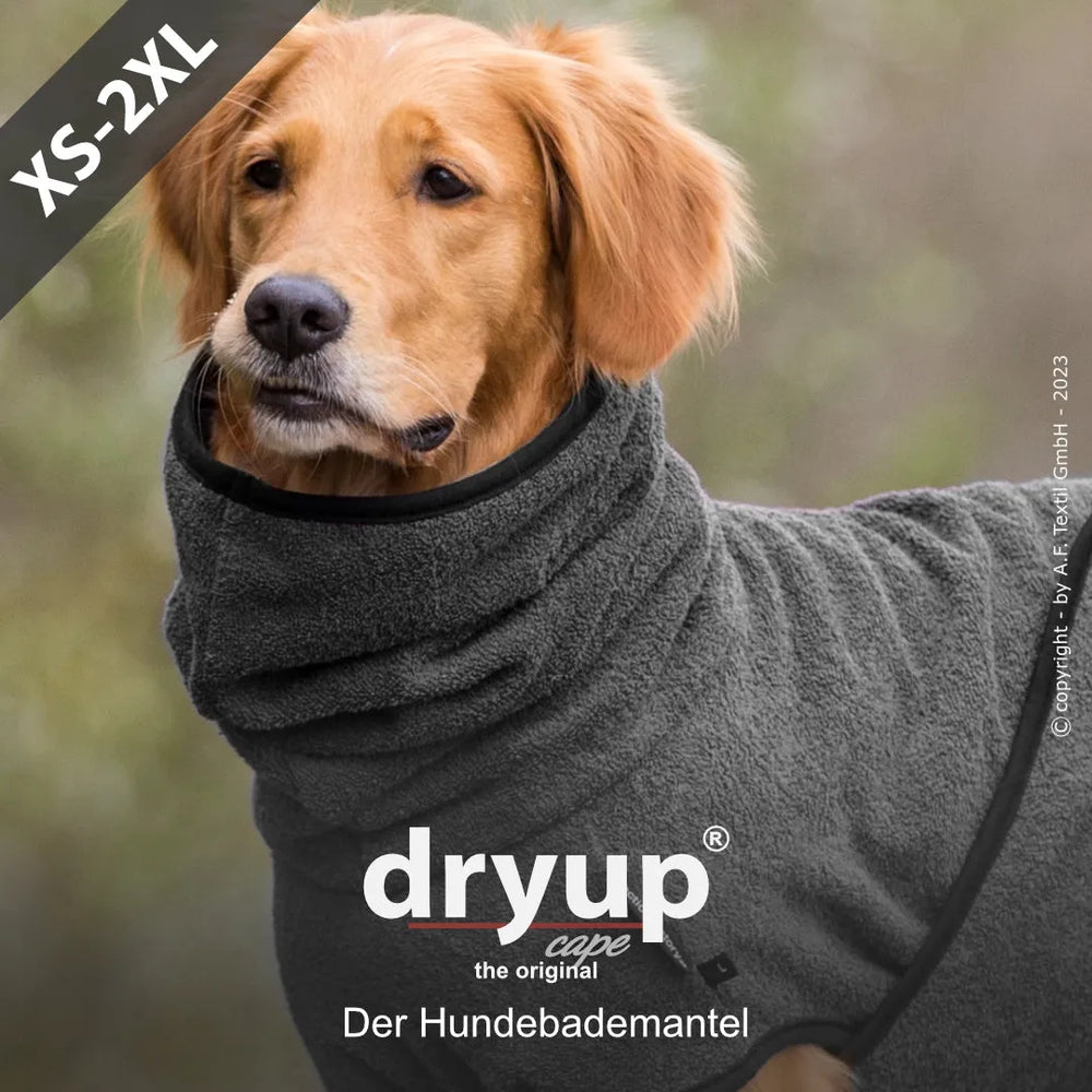 Hund trägt grauen Dryup® Hundebademantel, weich und warm. Größe XS-2XL, Hund entspannt und zufrieden.