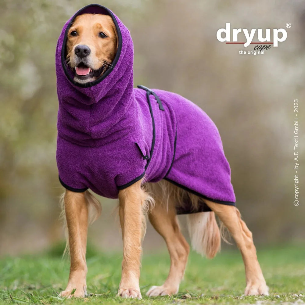 Hund im lila Fleece-Bademantel von Dryup® steht auf grüner Wiese, mit Kapuze und Bauchverschluss.