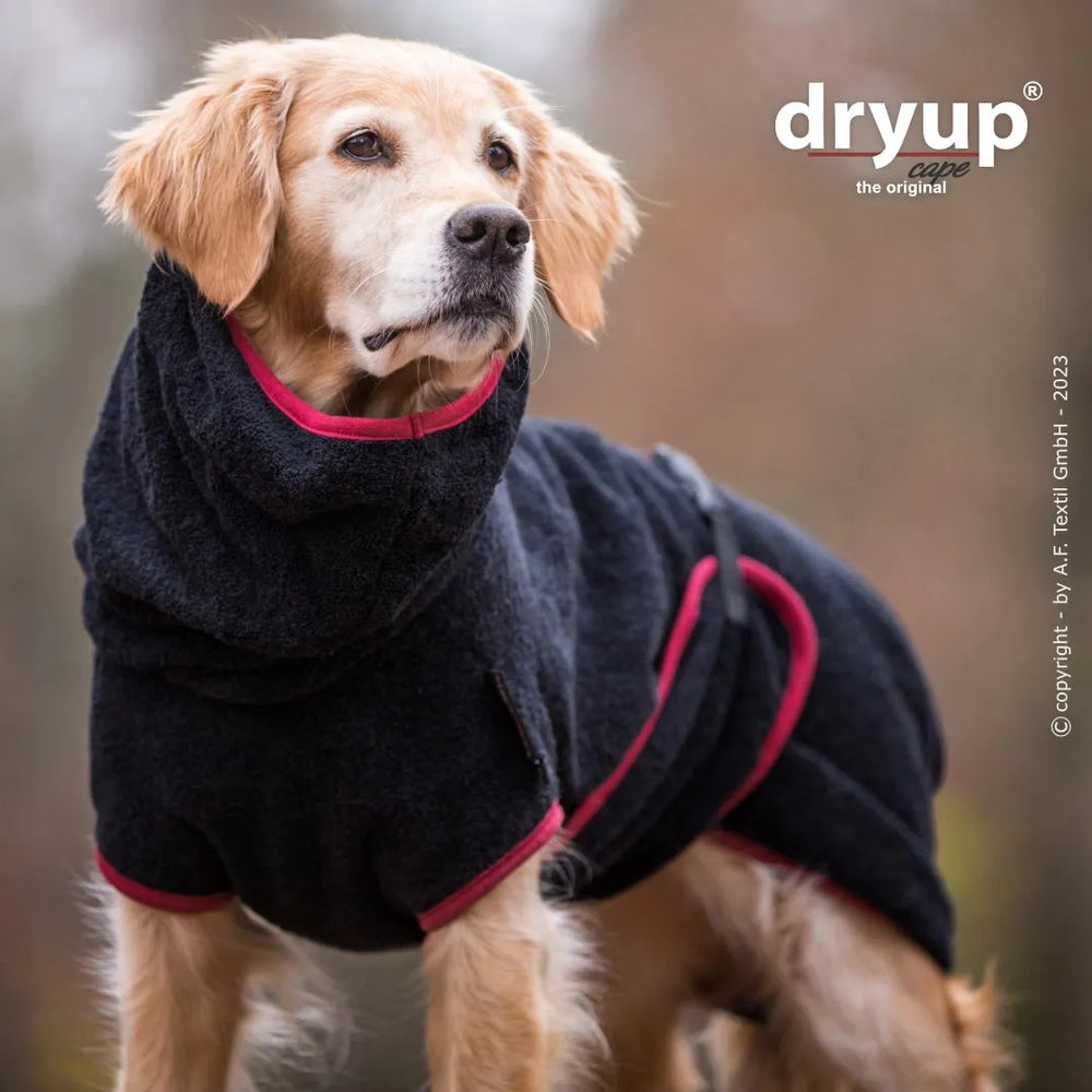 Hund im eleganten Dryup® Cape mit Kapuze und rotem Innenfutter, umgeben von natürlicher Kulisse.
