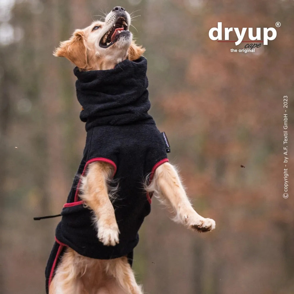 Fröhlicher Golden Retriever springt im Wald, trägt den Dryup® Hundebademantel mit hohen Kragen und roten Akzenten.