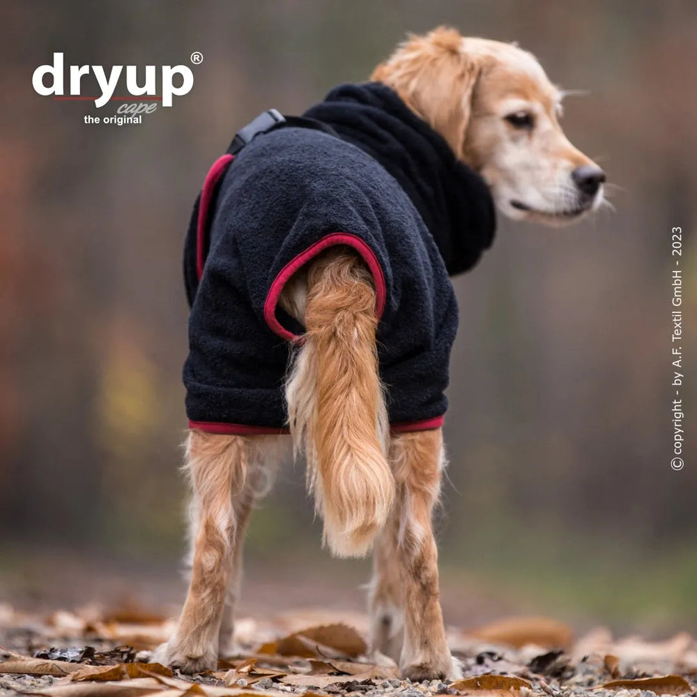 Schwarzer Dryup® Hundebademantel mit roten Rändern, Hund steht im Herbstlaub, Vorderbeine bleiben frei.