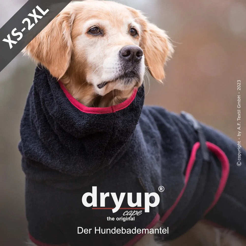 Hund trägt schwarzen Dryup® Hundebademantel mit rotem Innenfutter, ideal zum Warm- und Trockenhalten nach dem Baden.