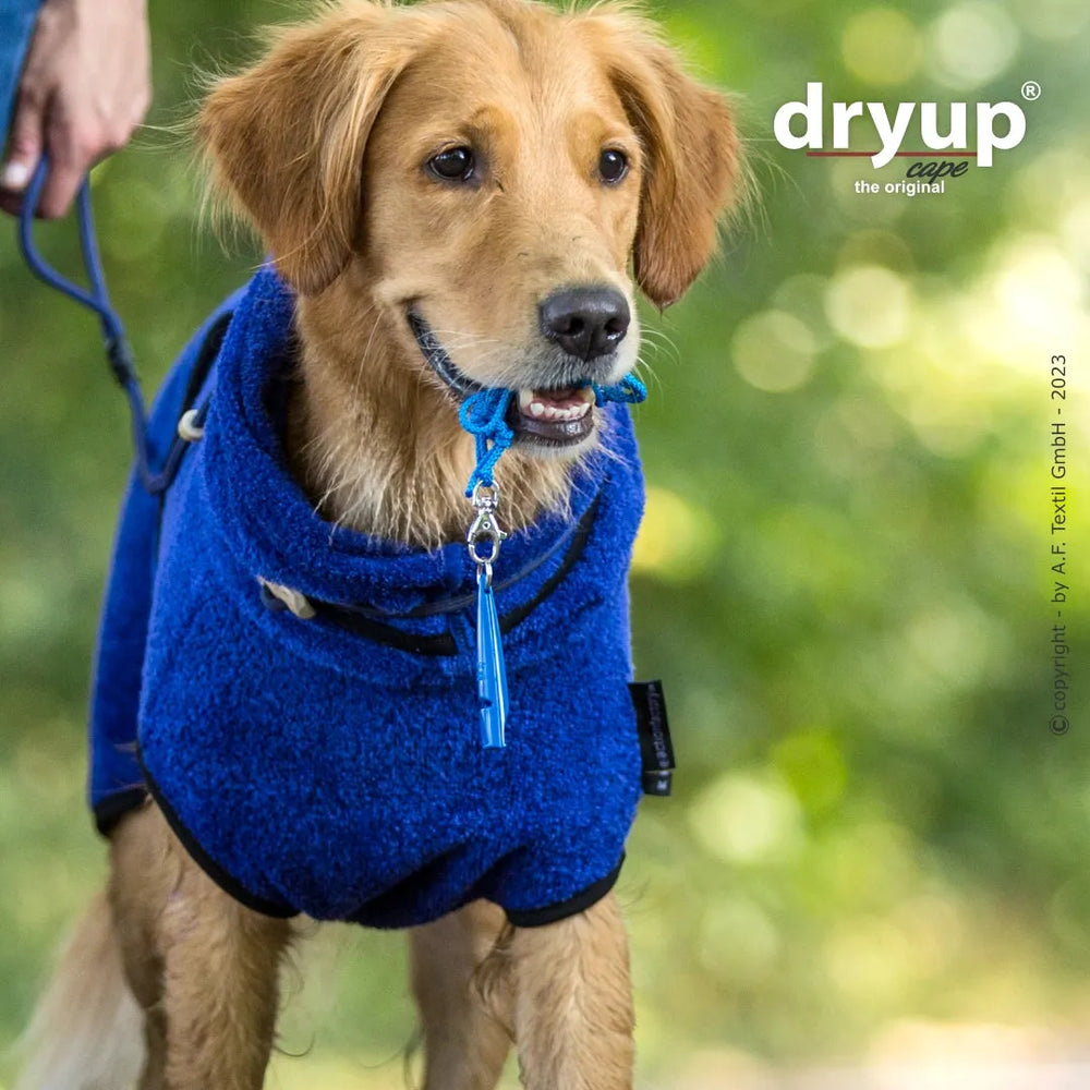 Freundlicher Hund im blauen Dryup® Hundebademantel in der Natur mit unscharfem grünem Hintergrund.
