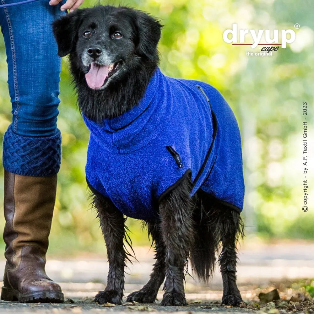 Hund im blauen Dryup® Cape lächelt auf dem Weg, geschützt vor Nässe, während die Person daneben steht.