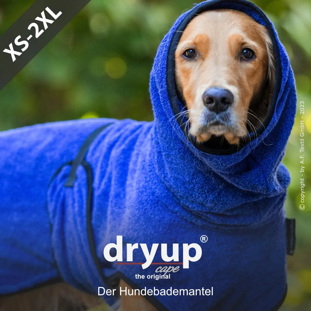 Hund im blauen, flauschigen Hundebademantel von Dryup®, ideal für nasse Hunde, mit Kapuze in grüner Umgebung.