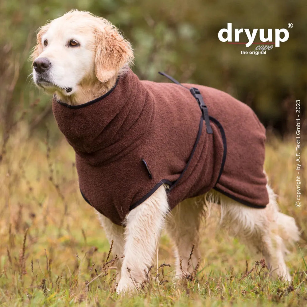 Golden Retriever im braunen Dryup® Hundebademantel in natürlicher Umgebung, ideal zum Trocknen nach dem Bad.