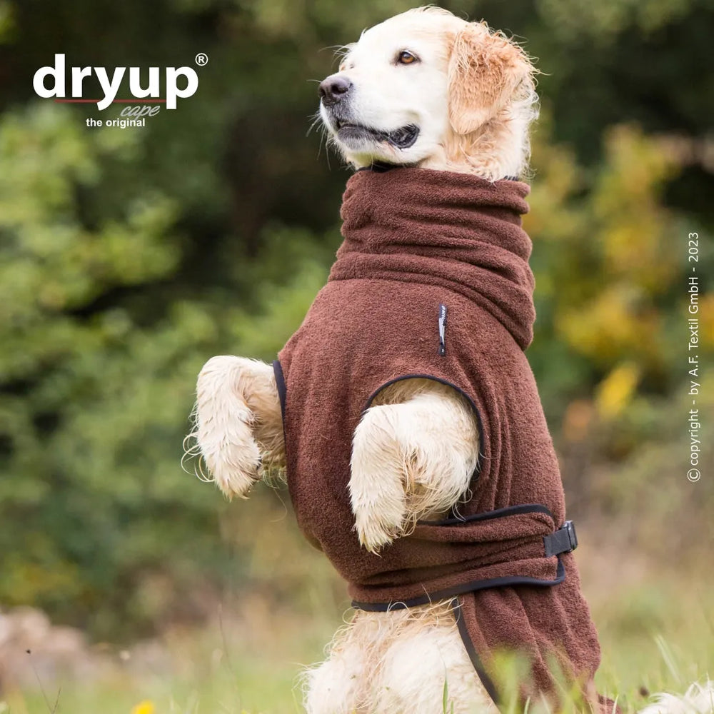 Goldener Retriever trägt einen braunen Fleece-Hundebademantel von Dryup® für optimalen Schutz nach dem Baden.