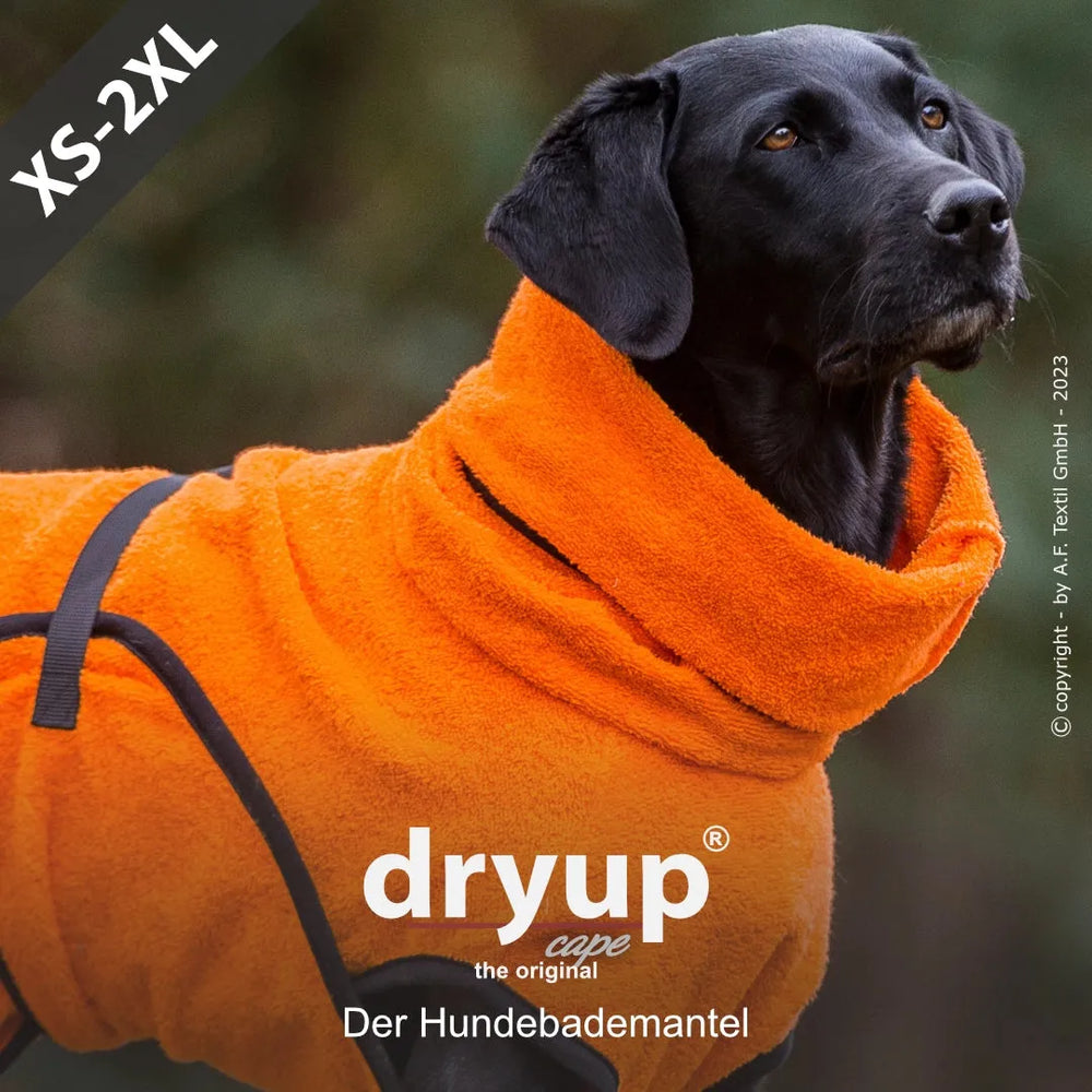 Schwarzer Hund im orangefarbenen flauschigen Bademantel in natürlicher Umgebung mit hohem Kragen.