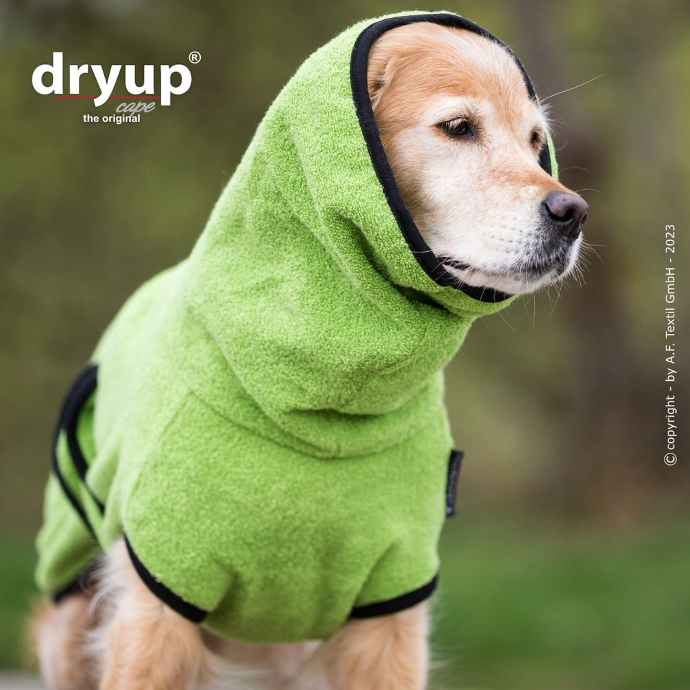 Hund im grünen Dryup® Cape Bademantel mit Kapuze, sitzt draußen und schaut nach rechts. Ideal zum Trocknen nach dem Bad.