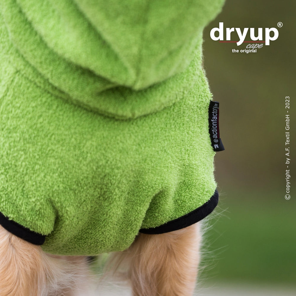 Kleiner Hund im grünen Dryup® Bademantel mit Kapuze, ideal zum Trocknen nach dem Baden.