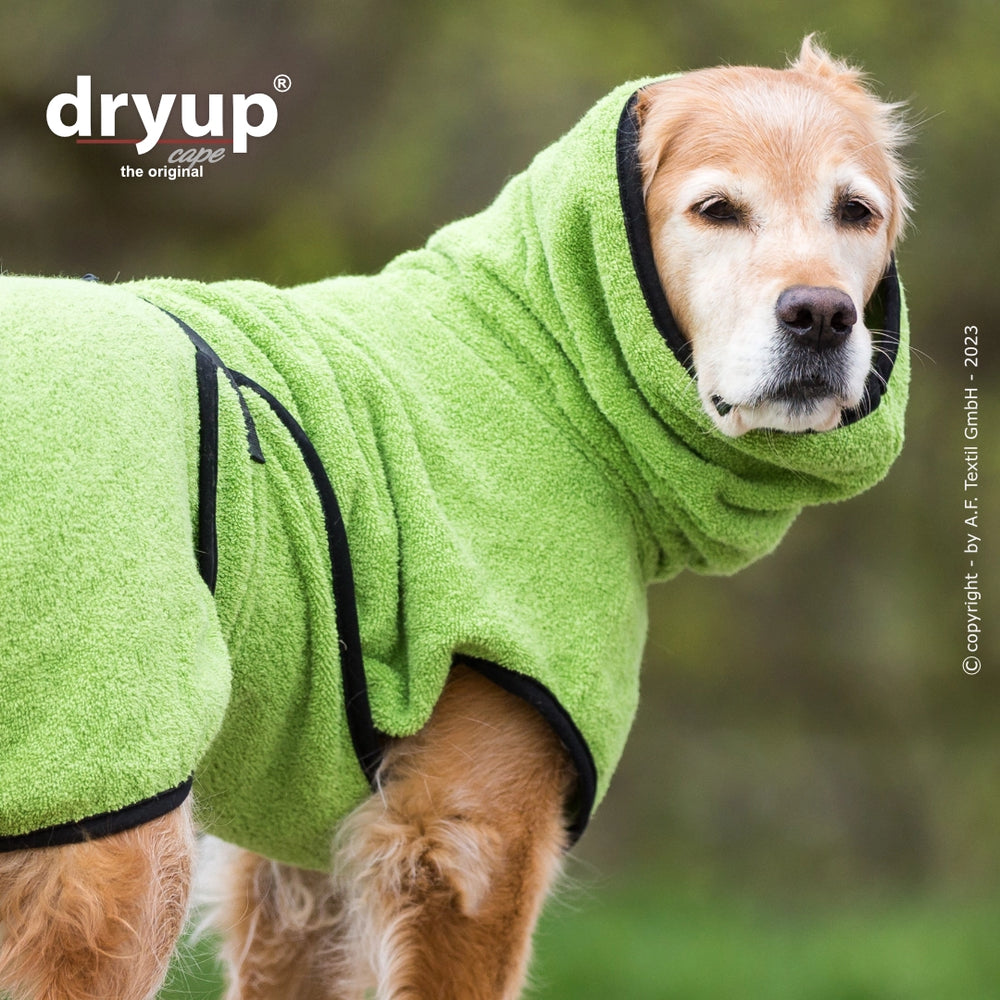 Hund im grünen flauschigen Dryup® Bademantel mit Kapuze, ideal zum Trocknen nach dem Baden.
