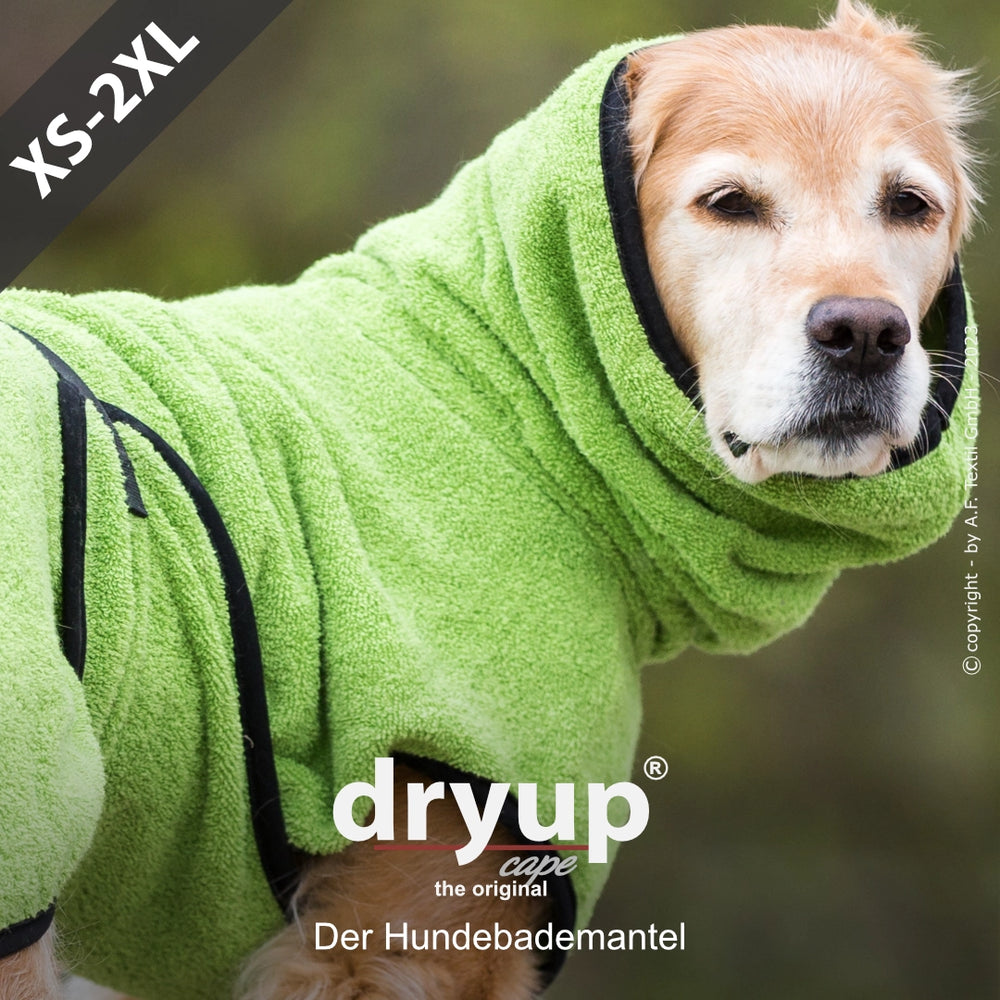 Hund im grünen Dryup® Bademantel mit Kapuze, steht stolz und schaut in die Kamera. Ideal für nach dem Baden.