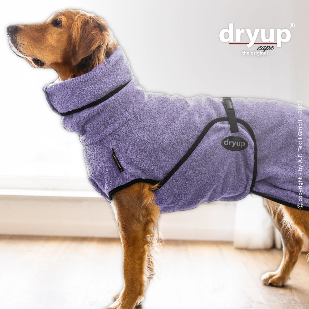 Hund im lila Dryup® Hundebademantel mit hohem Kragen und verstellbaren Riemen aus weichem Material.