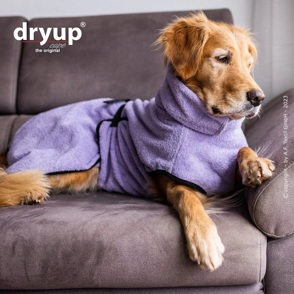 "Entspannter Hund in lila Dryup® Hundebademantel sitzt auf grauem Sofa."