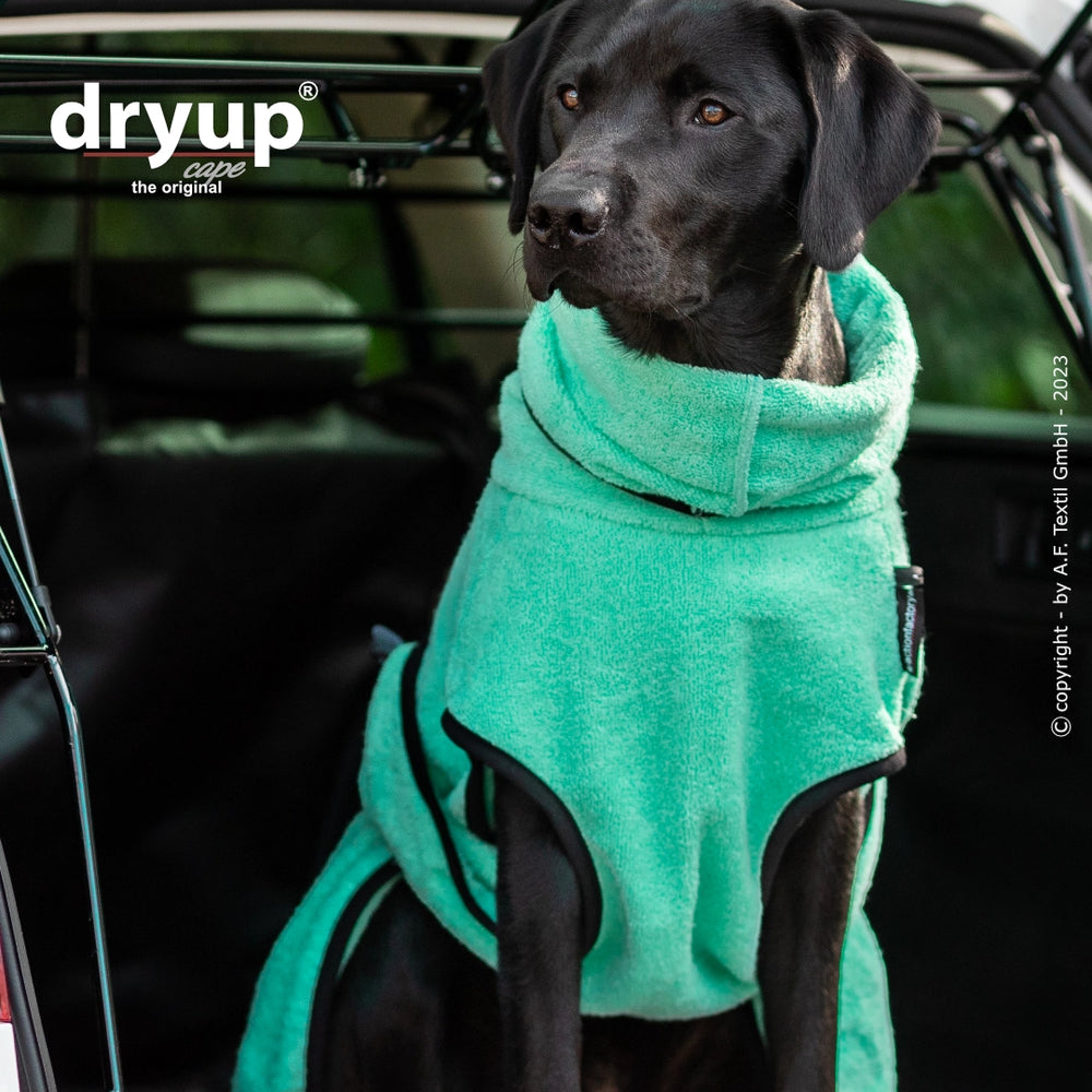 Schwarzer Hund im Auto mit mintgrünem Dryup® Hundebademantel und hohem Kragen, ideal nach dem Baden.