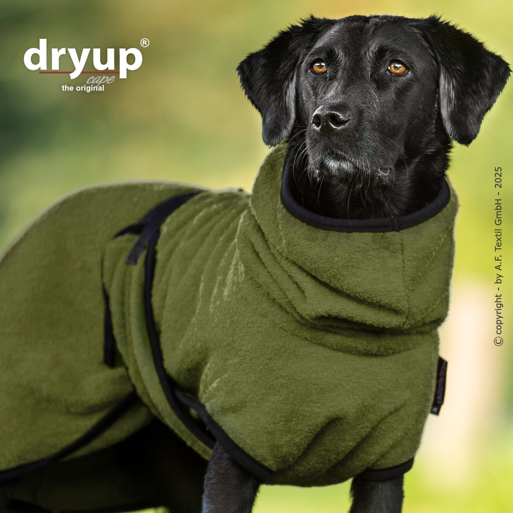 Hund im olivgrünen Dryup® Bademantel mit hohem Kragen und schwarzen Rändern, ideal zum Trocknen nach dem Baden.